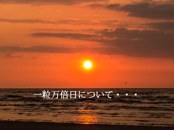 一粒万倍日の決め方 21年の8月15日と27日は一粒万倍日で正しい 吉方位 吉日のブログ
